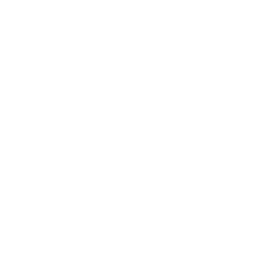 Elisa van Aalst Vioollessen